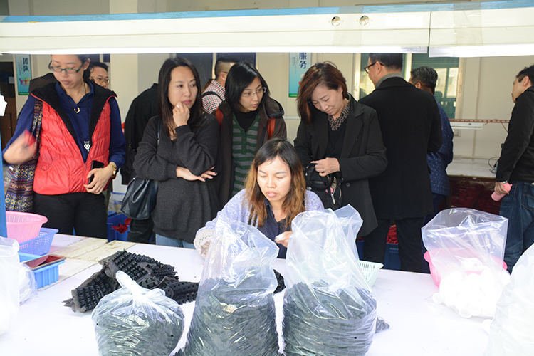 参观蘑菇视频APP成人包装车间